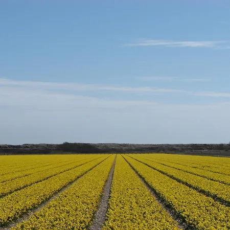 霍恩酒店 卡兰茨奥赫