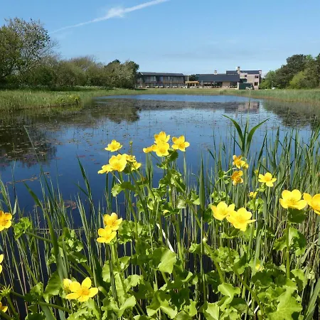 酒店 霍恩酒店 3*