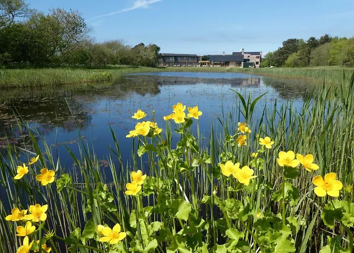 Отель Strandhotel De Horn 3*